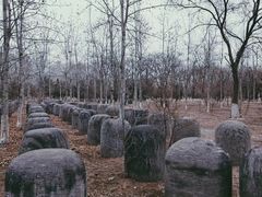 -绿堤公园