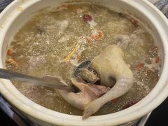 药膳鸽子-鸽鸟轩(石岐店)