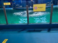 -苏州海洋馆