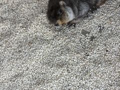 -后院犇牛主题餐厅(云岗店)