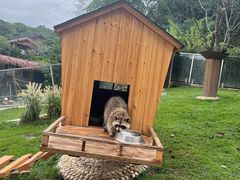 -杭州开元森泊度假乐园