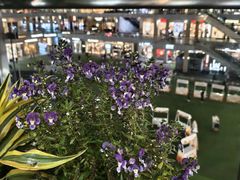 -首创奥特莱斯(北京店)