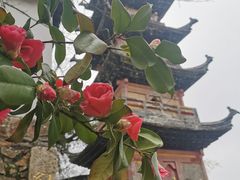 -狼山风景名胜区