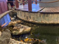 -丰圆轩粤式茶楼 . 点心粤菜(夏茅店)