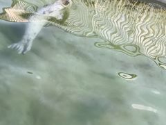 -太原动物园