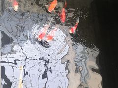 -天津波士信达奔驰4S店(卫津南路店)