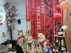 -柴迷FANS CLUB·柴犬狗咖·猫咖