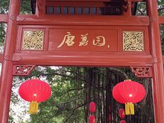 -侨美·唐荔园·40年地道粤菜