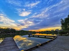 -马家湾湿地公园