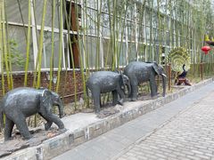 -呀路古热带植物园