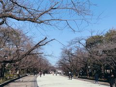 -东京国立博物馆
