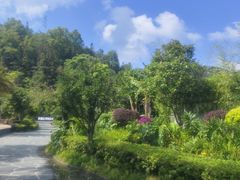 -腾冲洞山温泉村