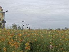 -中国天府农业博览园