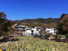 -塔川景区