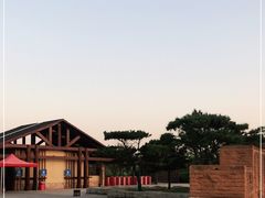 -盘龙城国家考古遗址公园