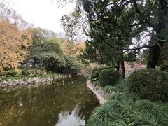 -叶家花园