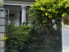 -溪岸路花鸟市场