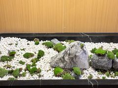 -金色印象·4K影院式足体养生(石碾盘店)