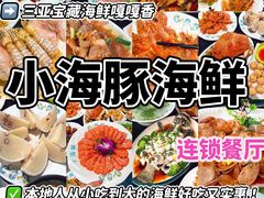 -小海豚·老字号海鲜餐厅(三亚湾店)
