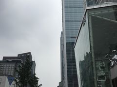 -龙抄手(春熙路总店)
