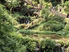 -青城山