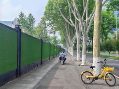 -后襄河公园
