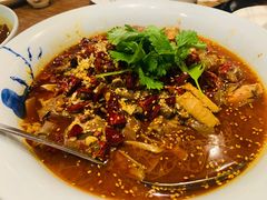 毛血旺-辛香汇(飞洲店)