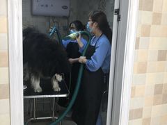 -宠颐生宠物医院·骨外科·犬猫全科诊疗中心(池州店)