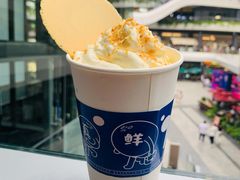 大红袍椰椰奶茶-蔻蔻椰·鲜萃椰子水(COCO Park店)
