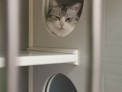 -艾贝尔宠物诊疗