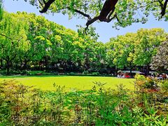 -申粤轩酒楼·三十年粤菜经典(丁香花园店)