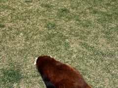 -水上乐园·欢乐世界