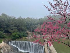 -九鲤湖风景区