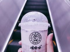 -娃哈哈·奶茶(武林店)