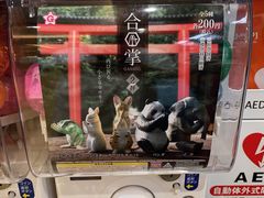 -富士山吉田線五合目