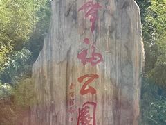 -幸福门