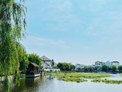 -金山嘴渔村