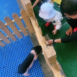 -萌宠亲子动物乐园(槐房万达店)