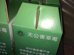 -喜杨洋草莓采摘园