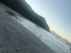 -珊瑚岛