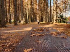 -黄海国家森林公园