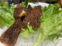 羊肚菌-东海怡品海鲜豆捞(舟宿夜江店)