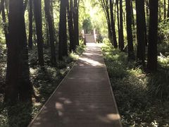 -同里国家湿地公园