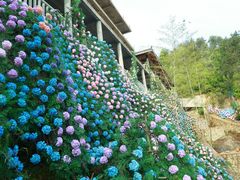-黄陂区野村谷景区