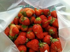 -乐乐鲜果水果超市(河北店)