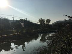 -石塘人家