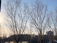 -青龙湖公园