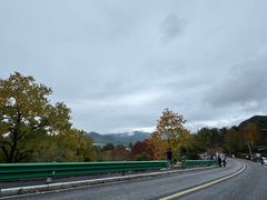 -塔川景区