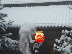 -少华山国家森林公园