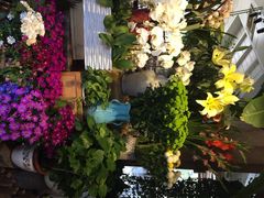 春暖花开餐厅(西溪店)-春暖花开(西溪店)